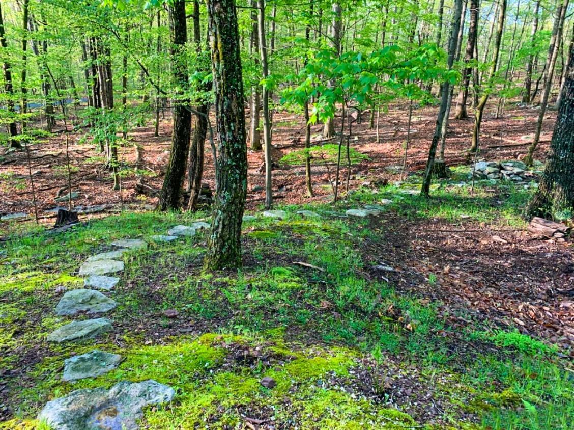 Huge Cabin W Hot Tub, Deck, Grill, Fire Pit, Wifi Berkeley Springs Εξωτερικό φωτογραφία